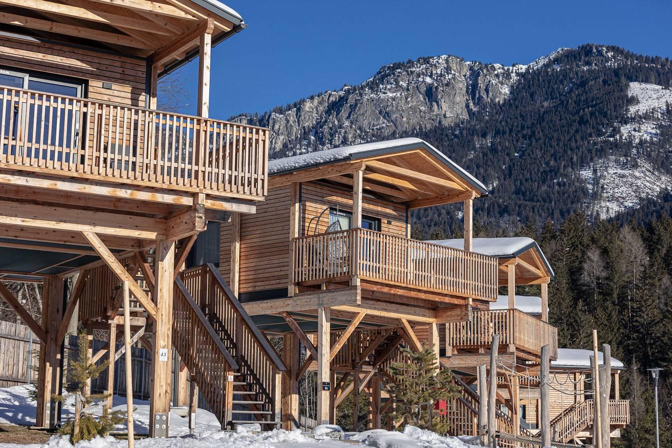 Premium Boomhut met 1 slaapkamer in Gailtaler Alpen, Kötschach-Mauthen, Oostenrijk voor 3 personen foto 20