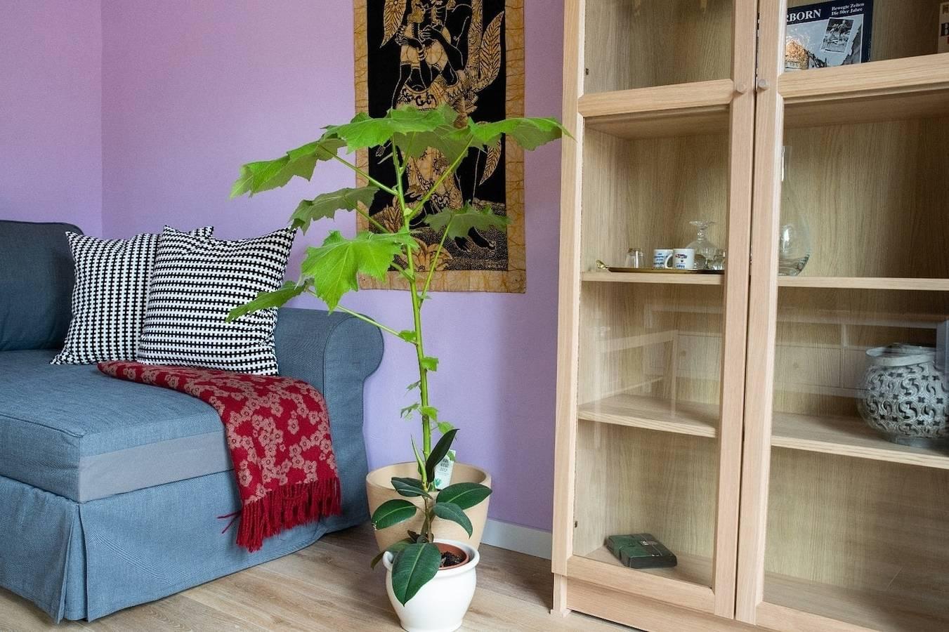 Vakantieappartement in Detmold, Duitsland voor 4 personen foto 7