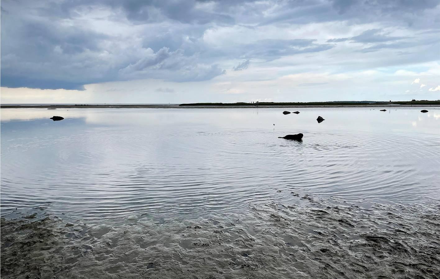 Appartement aan het strand met TV, vaatwasser, parkeerplaats & WiFi in Gollwitz, Duitsland voor 4 personen foto 24