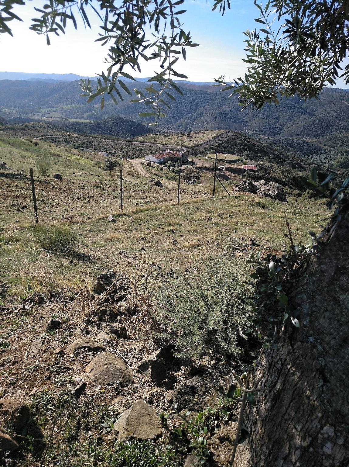 Vakantiehuis Casa Loren in Encinasola, Sierra de Aracena y Picos de Aroche, Spanje voor 6 personen foto 21