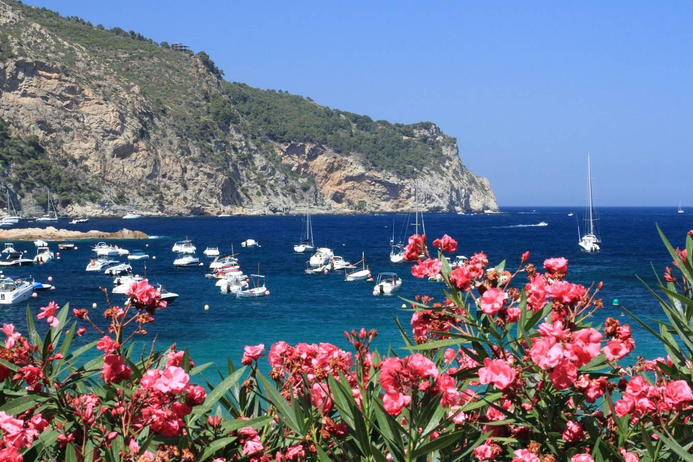 Vakantiehuis met balkon in Platja de Tamariu (Palafrugell), Tamariu, Spanje voor 4 personen foto 23