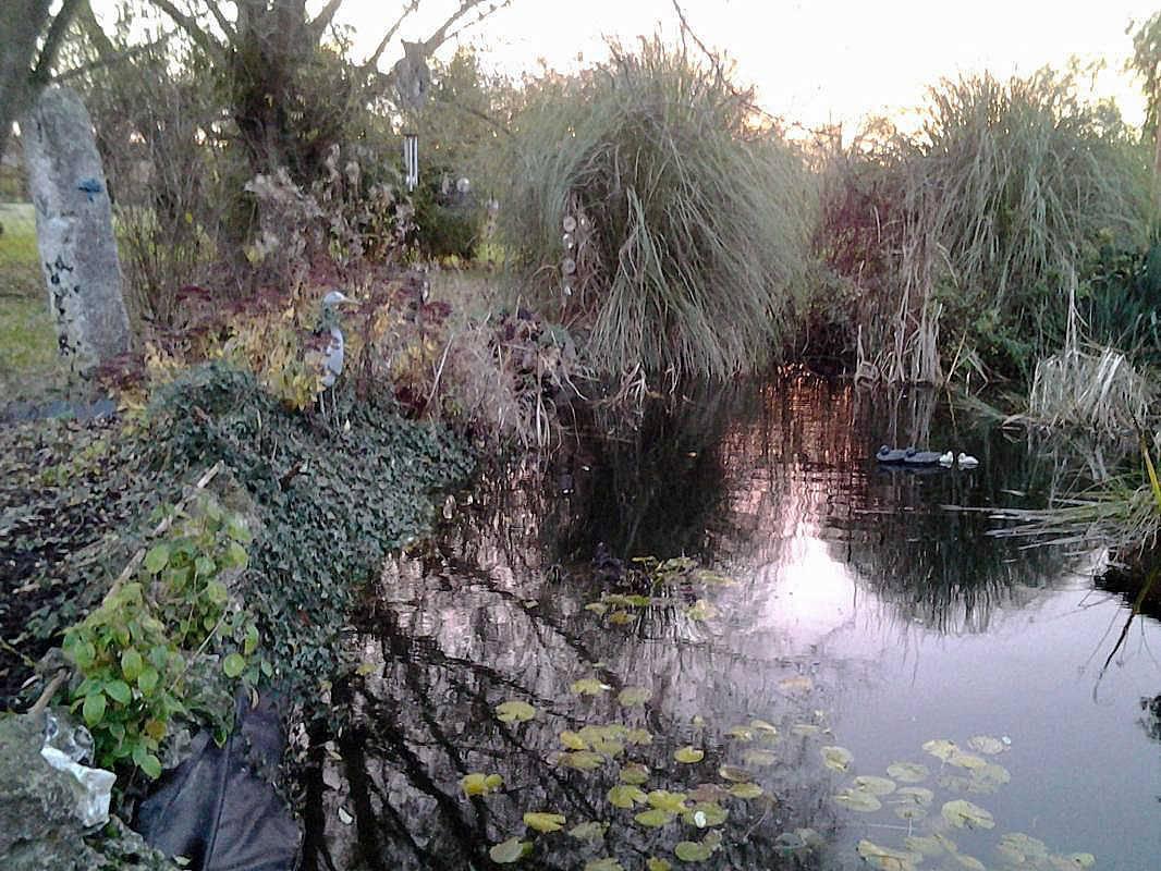 Gîtes de France® - Le Gîte du Marais in Seine-Maritime, Frankrijk voor 4 personen foto 19
