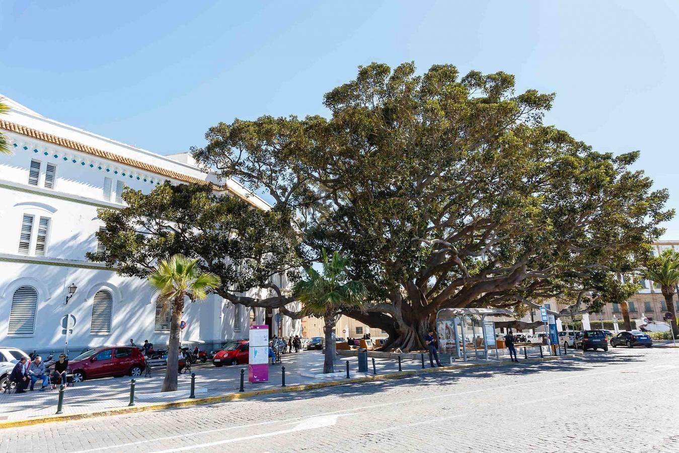 Vakantieappartement in Cádiz, Spanje voor 5 personen foto 10