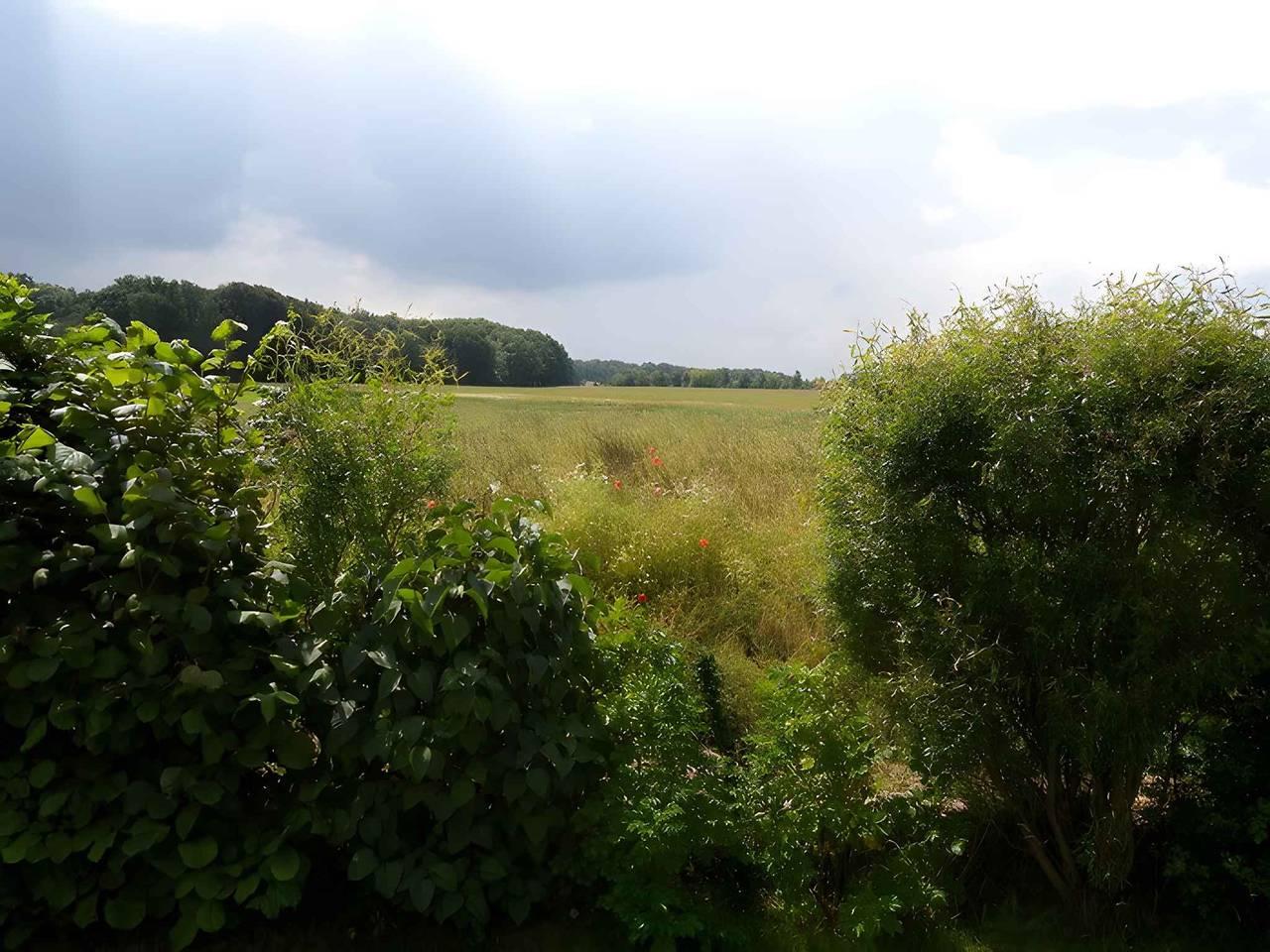Vakantieappartement in Klausdorf, Duitsland voor 3 personen foto 4