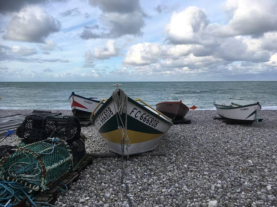 Gîtes de France® - Le Roncheray in Saint-Philibert-de-la-Lézarde, Frankrijk voor 3 personen foto 23