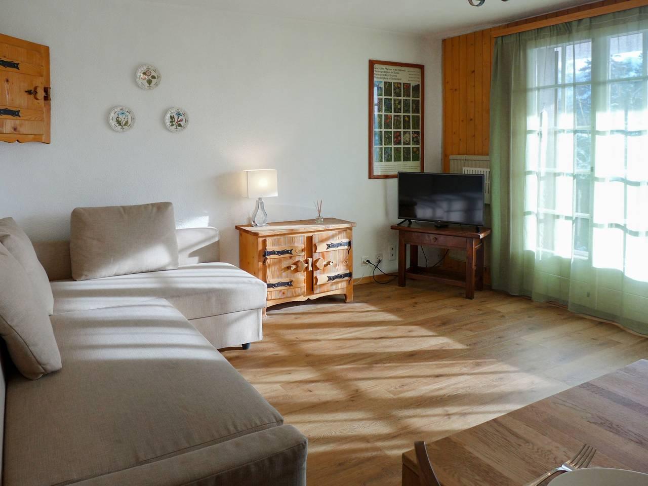 Vakantieappartement in Alpes Vaudoises, Zwitserland voor 4 personen foto 6