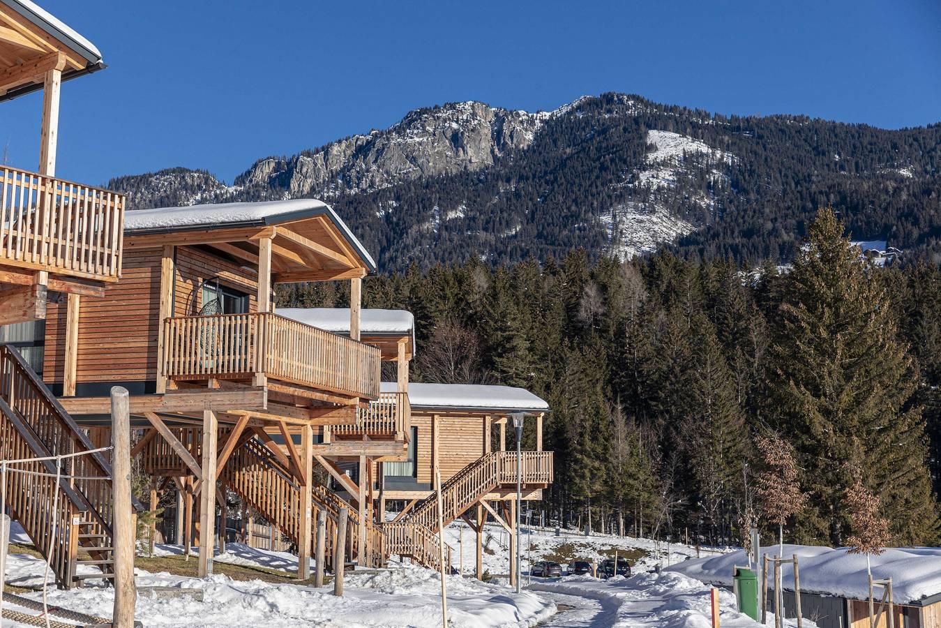 Premium Boomhut met 1 slaapkamer in Gailtaler Alpen, Kötschach-Mauthen, Oostenrijk voor 3 personen foto 22