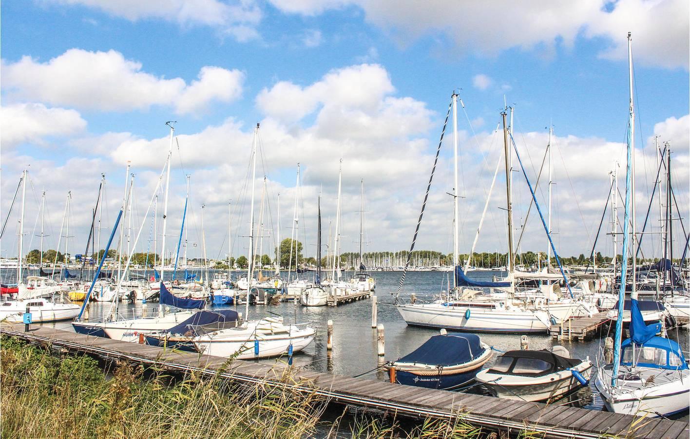 Vakantiehuis met hond toegestaan in Nederlandse Noordzeekust, Nederland voor 5 personen foto 22