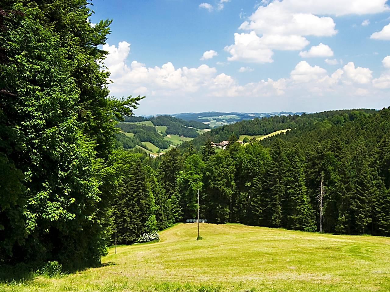 Vakantieappartement in Hasle bei Burgdorf, Zwitserland voor 4 personen foto 11