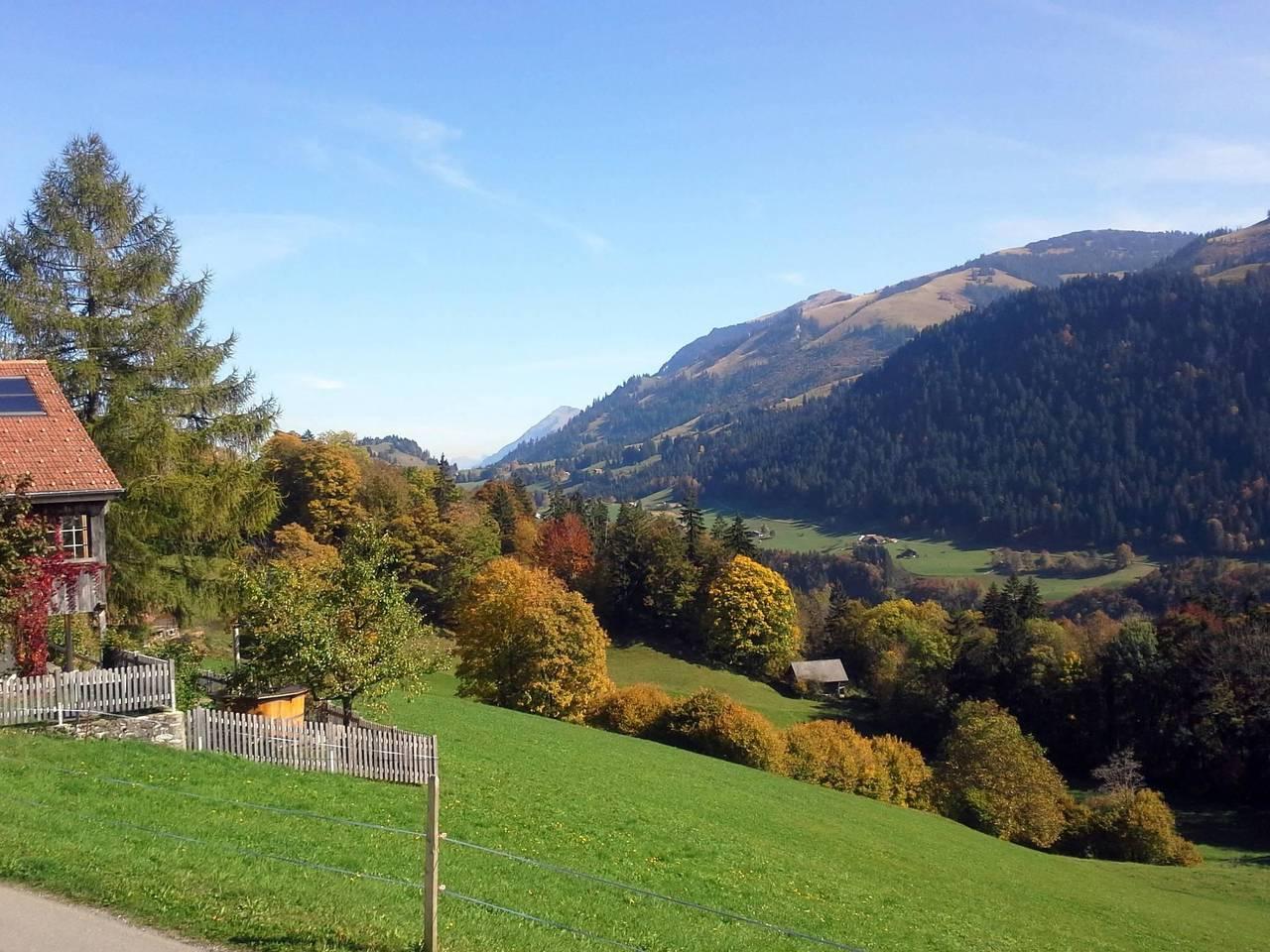 Vakantieappartement in Boltigen, Zwitserland voor 10 personen foto 8