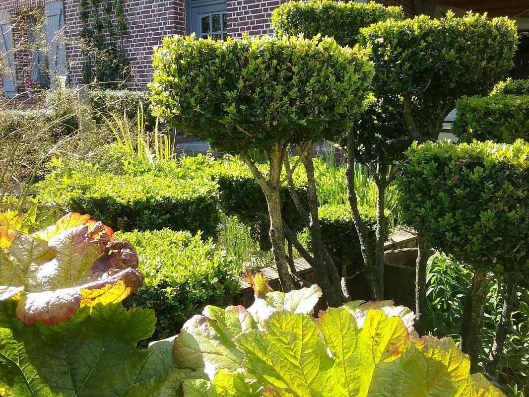 Gîtes de France® - Le Petit Marin in Brunville, Petit-Caux, Frankrijk voor 2 personen foto 24
