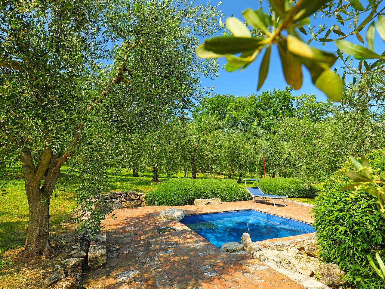 Vakantiehuis in Tuscia foto 3