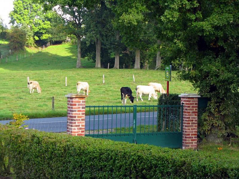 Gîtes de France® - Le Tilleul in Roncherolles-en-Bray, Frankrijk voor 6 personen foto 19