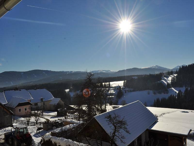 Vakantieappartement in Tauern, Oostenrijk voor 3 personen foto 12