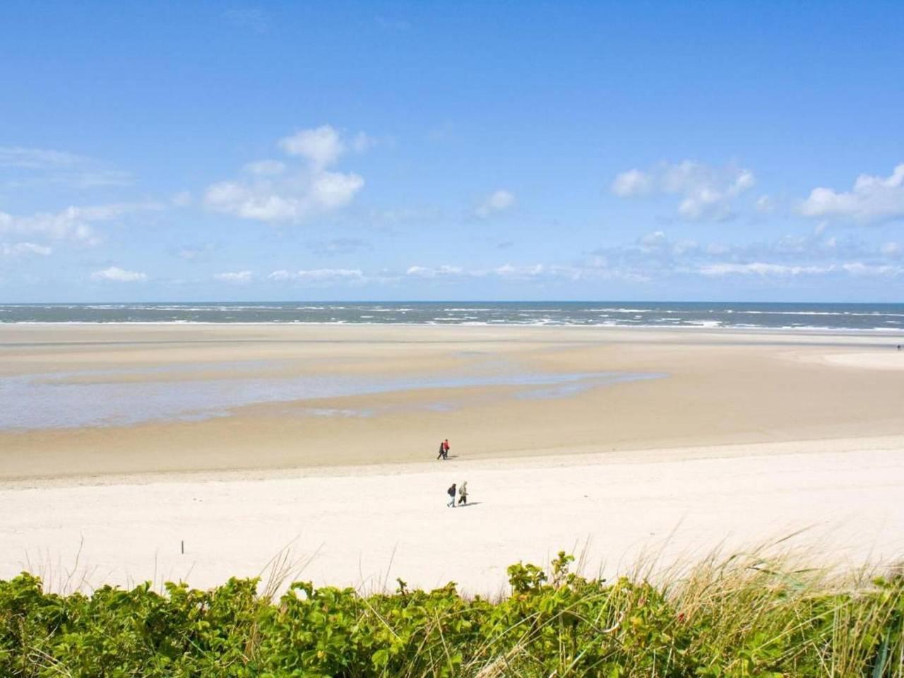 Strandvakantie met huisdieren in Kamperland, Zeeuwse Kust, Nederland voor 4 personen foto 19