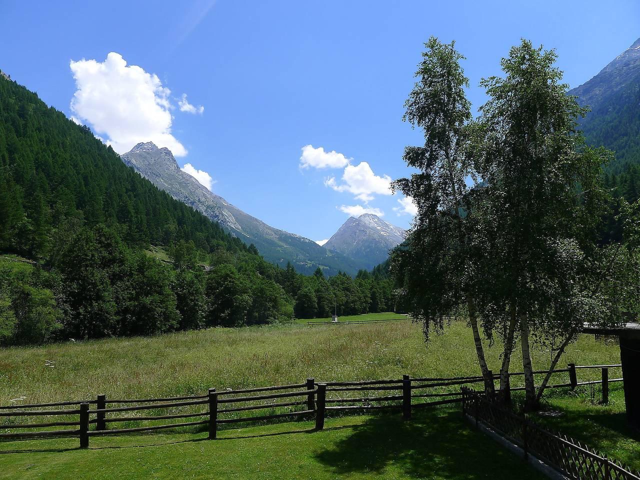 Vakantieappartement met speeltuin en hond toegestaan in Saas-Grund, Walliser Alpen, Zwitserland voor 6 personen foto 22