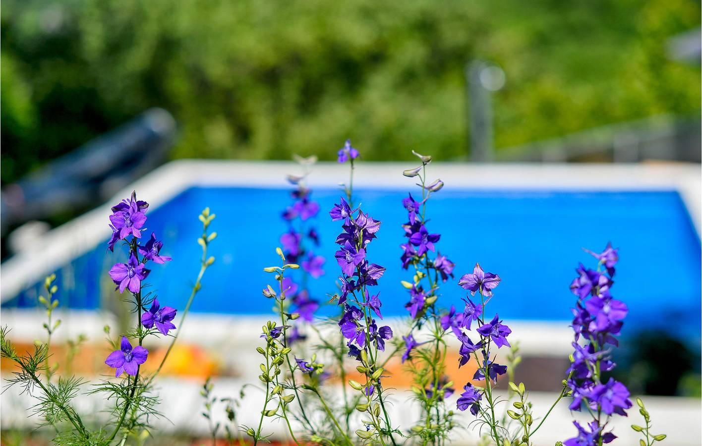 Vakantiehuis in Varaždin, Kroatië voor 4 personen foto 16