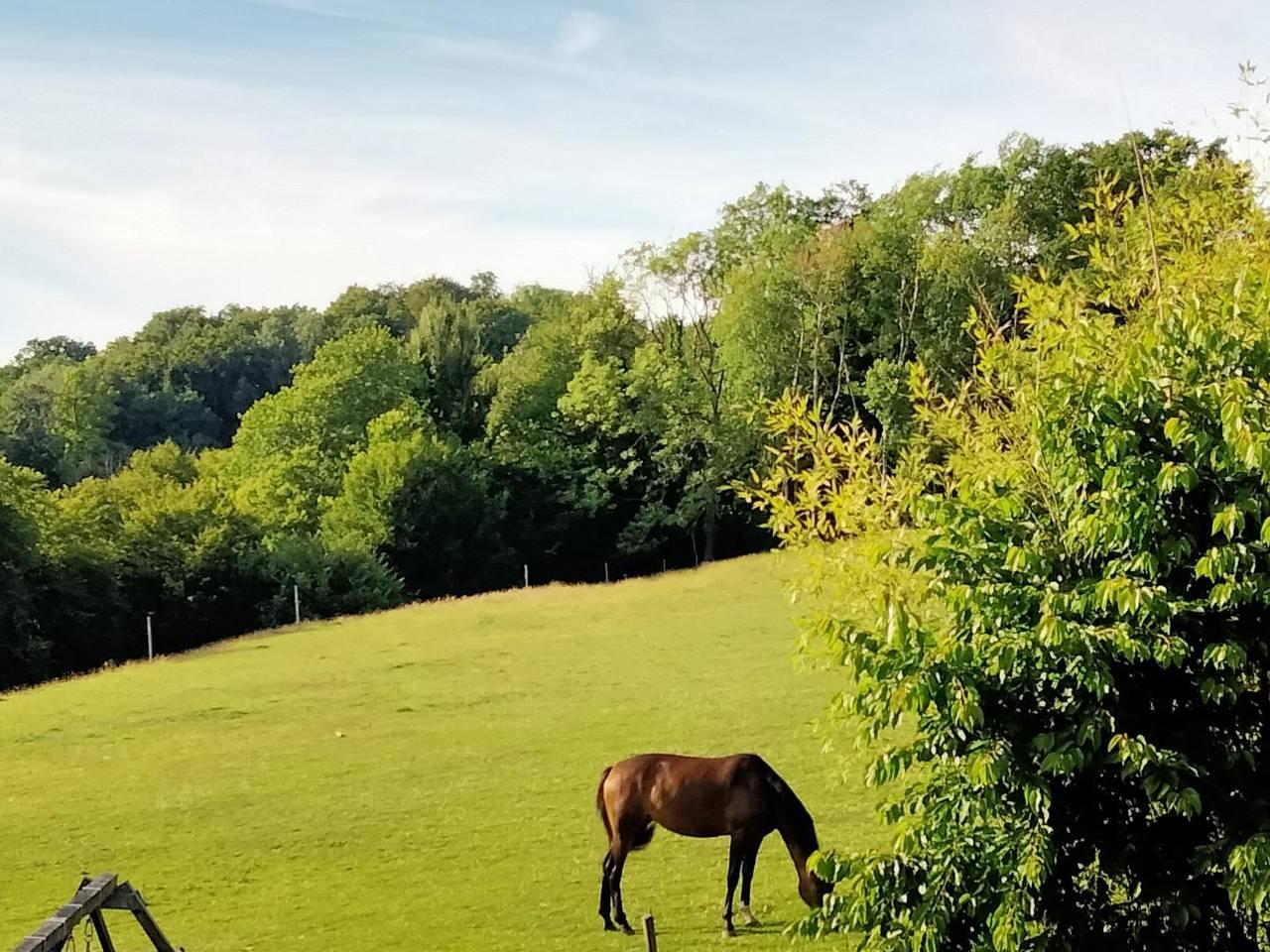 Vakantiehuis in Seine-Maritime, Frankrijk voor 9 personen foto 9
