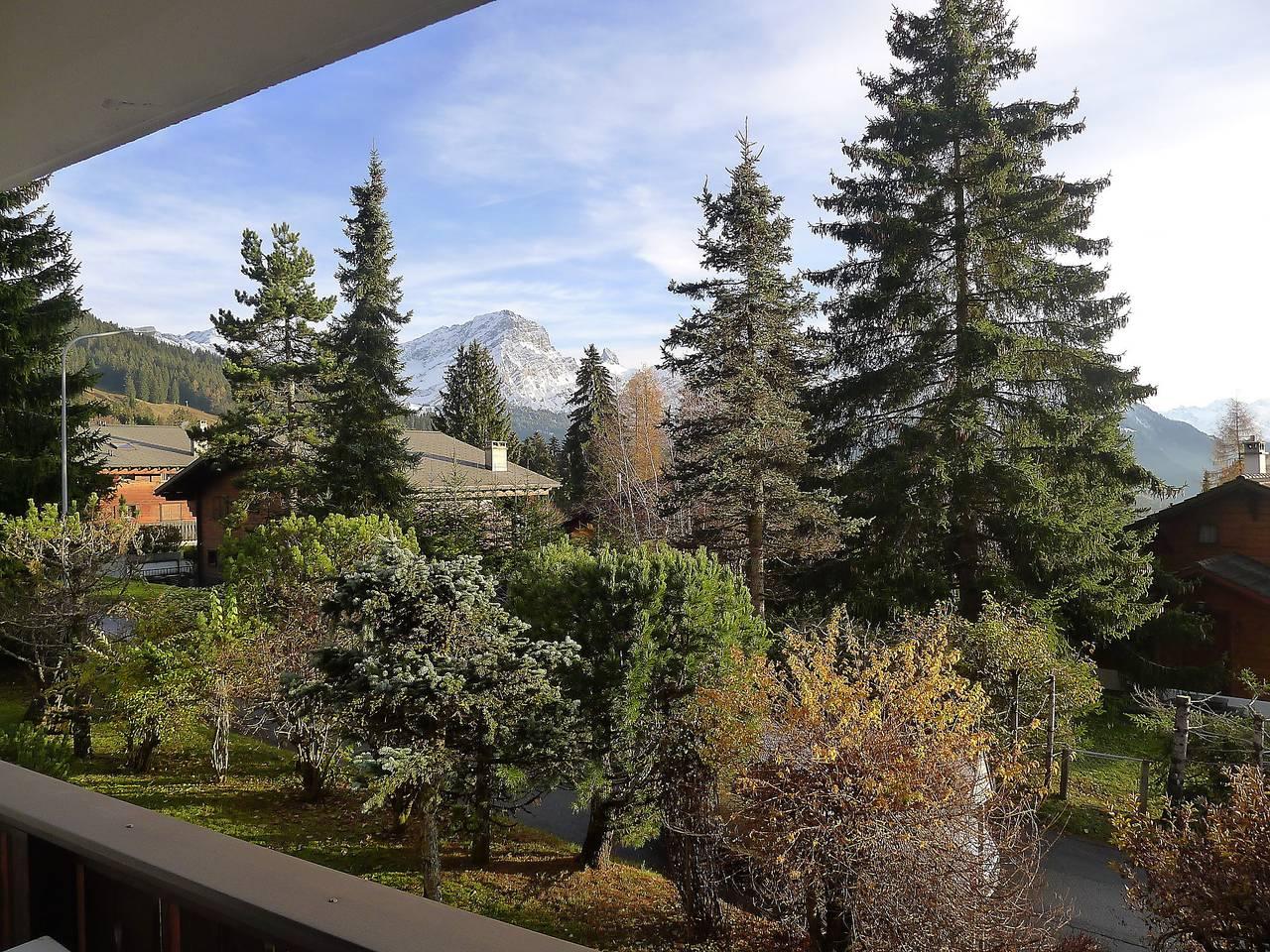 Vakantieappartement in Alpes Vaudoises, Zwitserland voor 4 personen foto 15