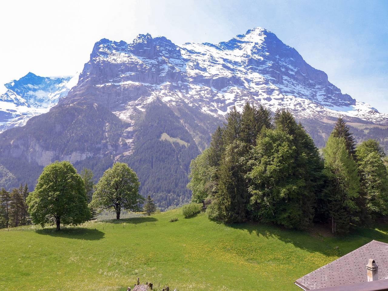Chalet Blaugletscher in Schwendi b. Grindelwald, Grindelwald, Zwitserland voor 4 personen foto 14