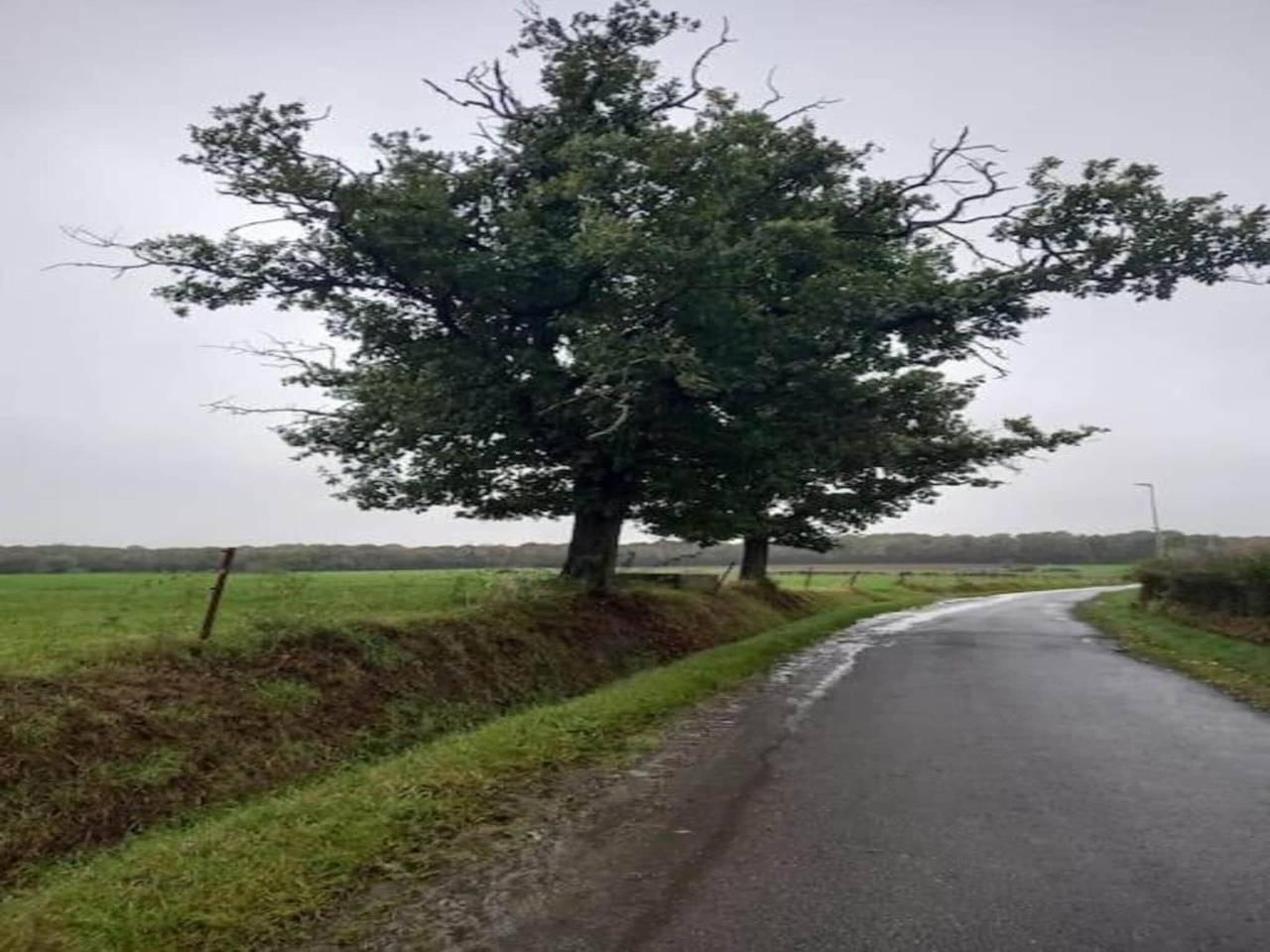 Vreedzame tuinschuilplaats in Froidchapelle, Henegouwen, België voor 4 personen foto 25
