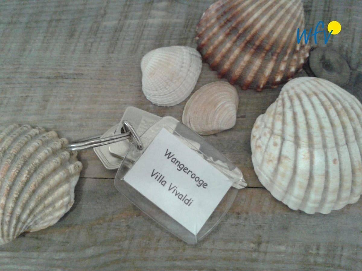 Vakantieappartement met 2 slaapkamers en terras in Wangerooge, Duitsland voor 2 personen foto 19