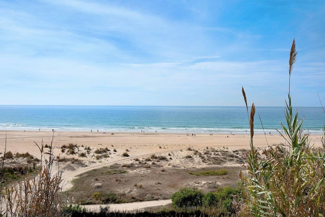 "Apartamento Atalaya" in Playa de los Bateles (Conil de la Frontera), Conil de la Frontera, Spanje voor 6 personen foto 24