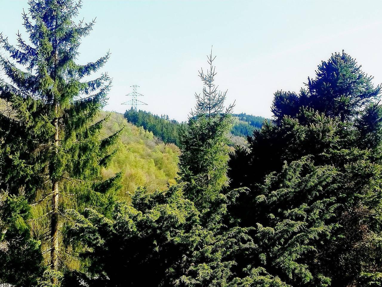 Ortho Hideaway met tuin in Belgische Ardennen, België voor 4 personen foto 22