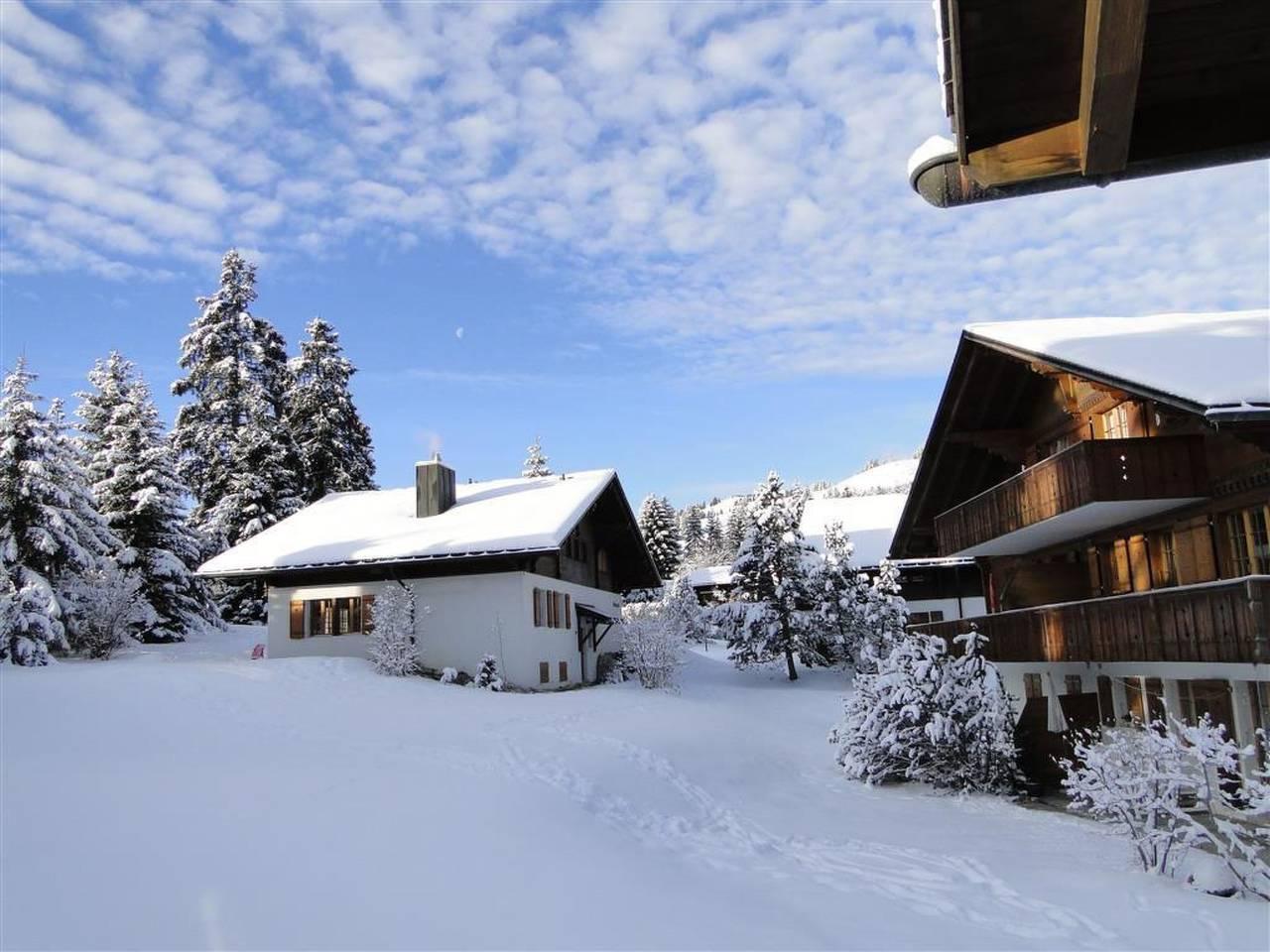 Vakantieappartement in Saanen, Zwitserland voor 5 personen foto 8