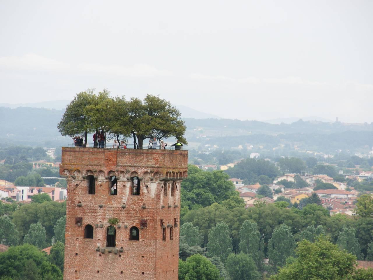 Vakantieappartement met zwembad en hond toegestaan in Lucca, Provincie Lucca, Italië voor 4 personen foto 19