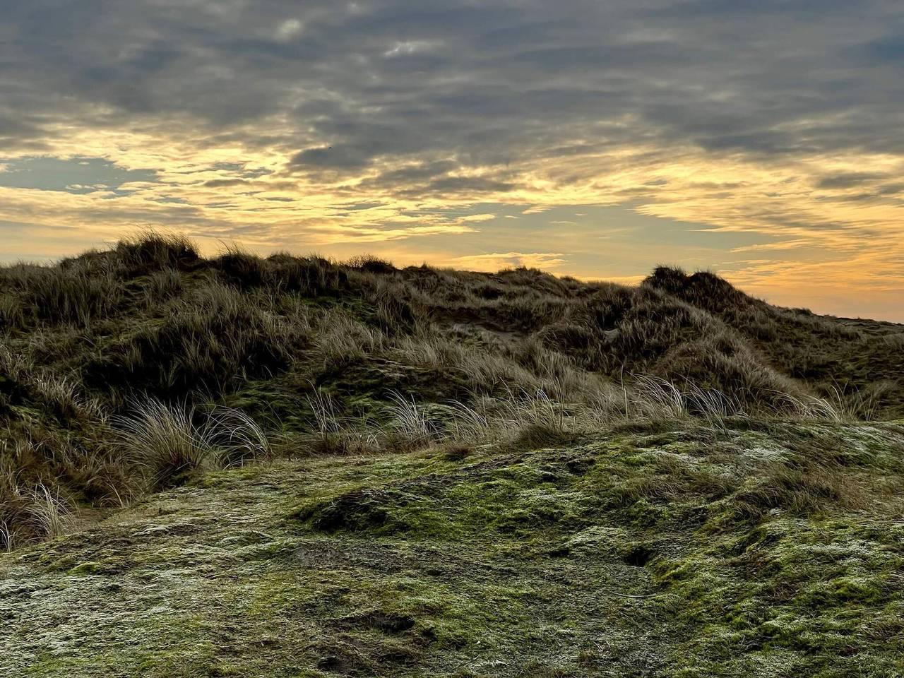 Vakantiehuis in Fanø, Denemarken voor 4 personen foto 11
