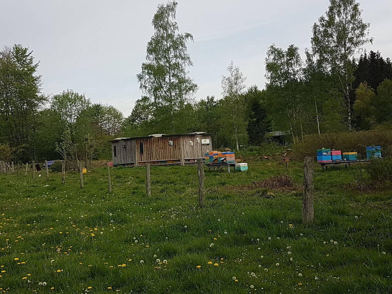 Vakantiehuis in Weismes, België voor 2 personen foto 17