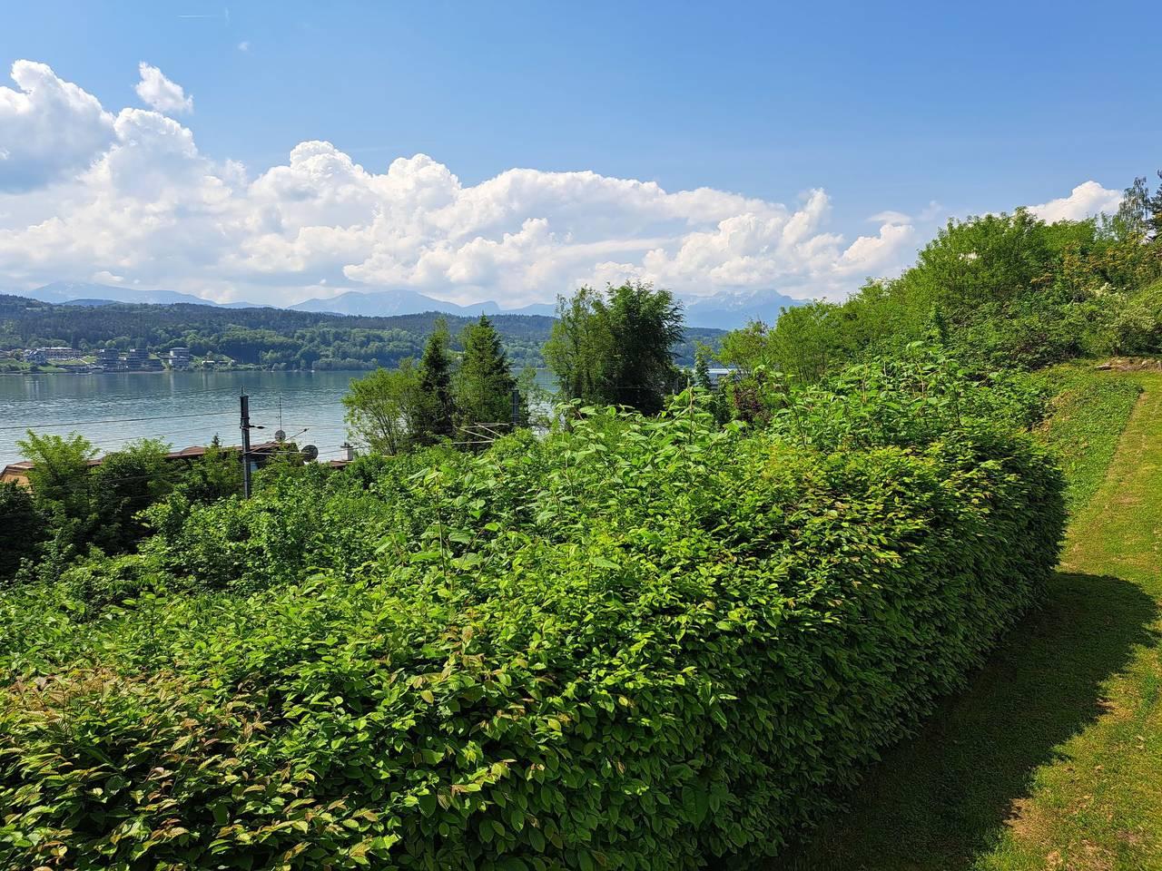 Vakantieappartement in Techelsberg am Wörther See, Klagenfurt-Land, Oostenrijk voor 4 personen foto 23