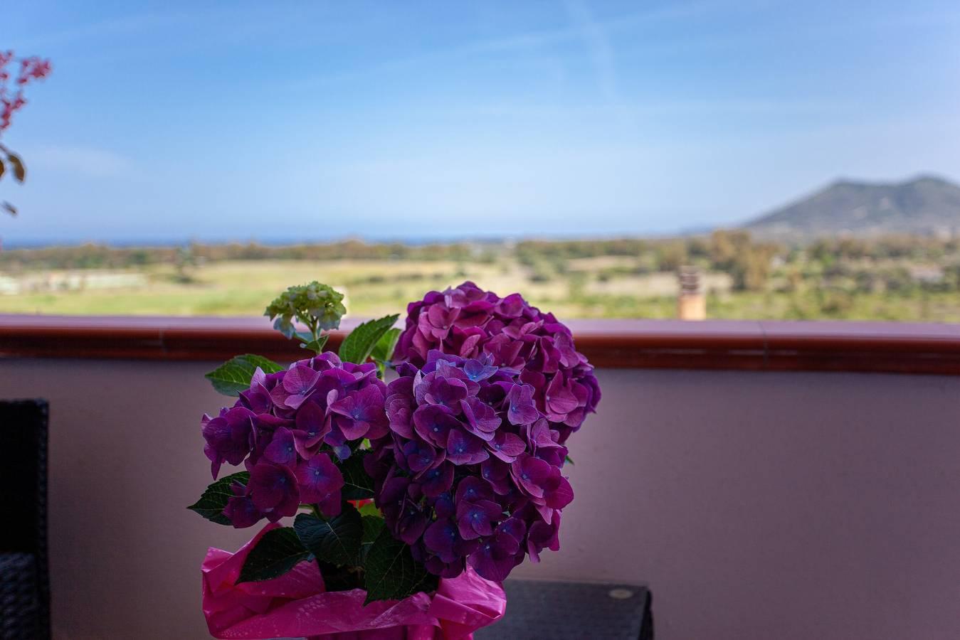 Vakantieappartement in Posada, Italië voor 3 personen foto 4