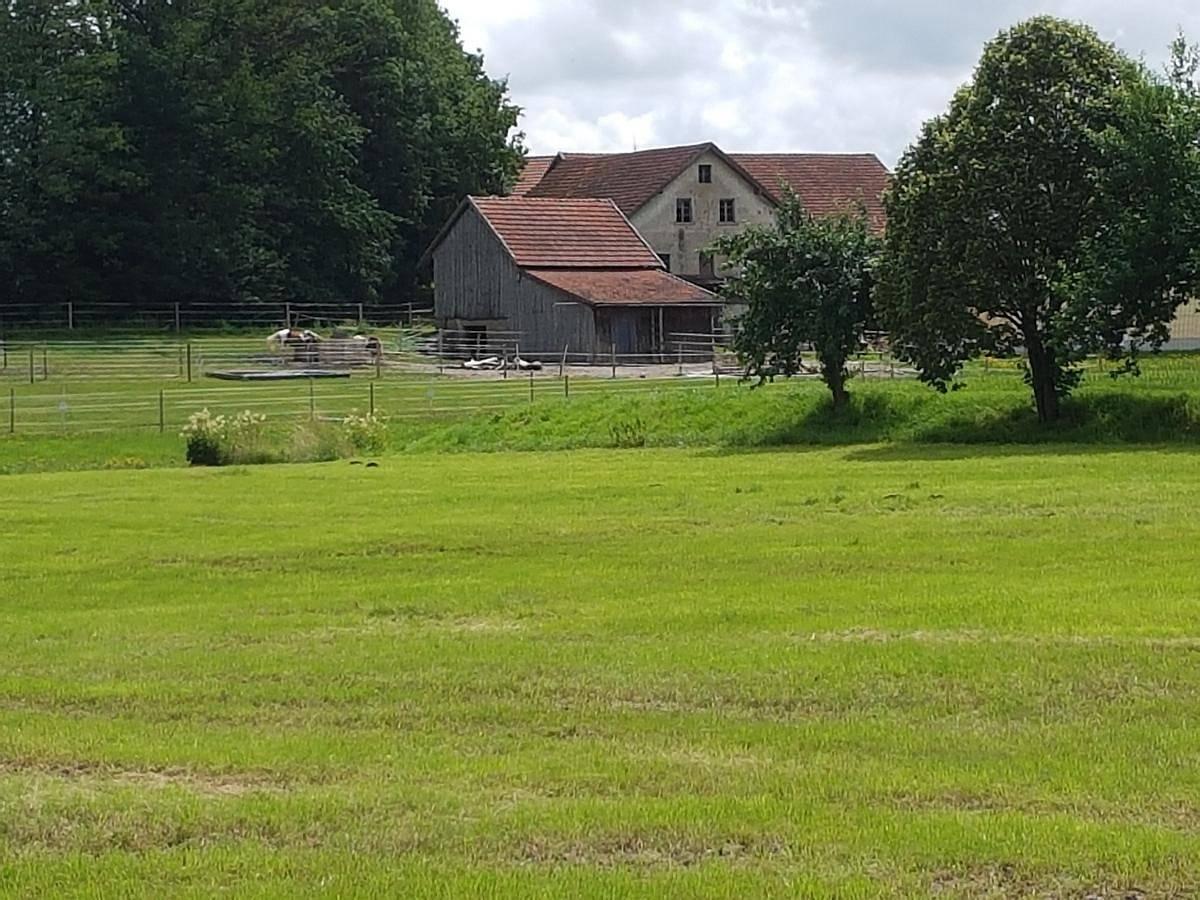 Vakantiehuis in Rötz, Duitsland voor 3 personen foto 7