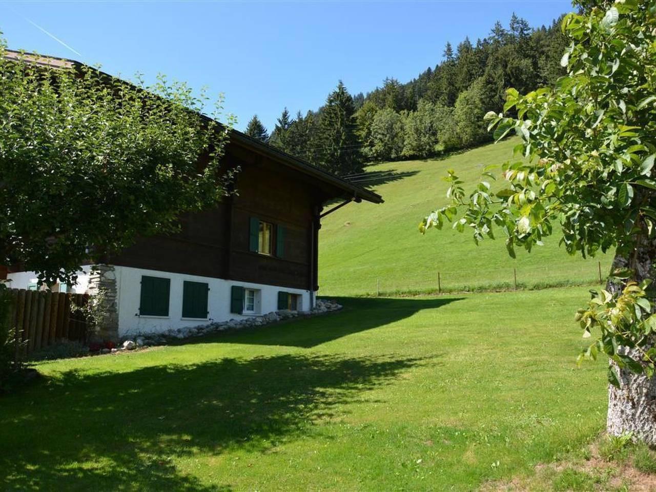 Vakantieappartement in Saanen, Zwitserland voor 5 personen foto 5