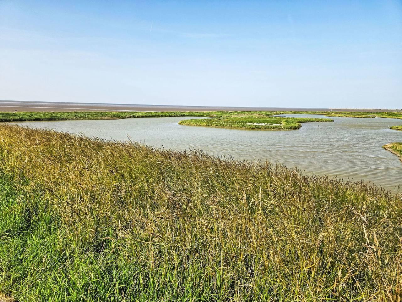 Vakantiehuis in IJsselmeer, Nederland voor 4 personen foto 16