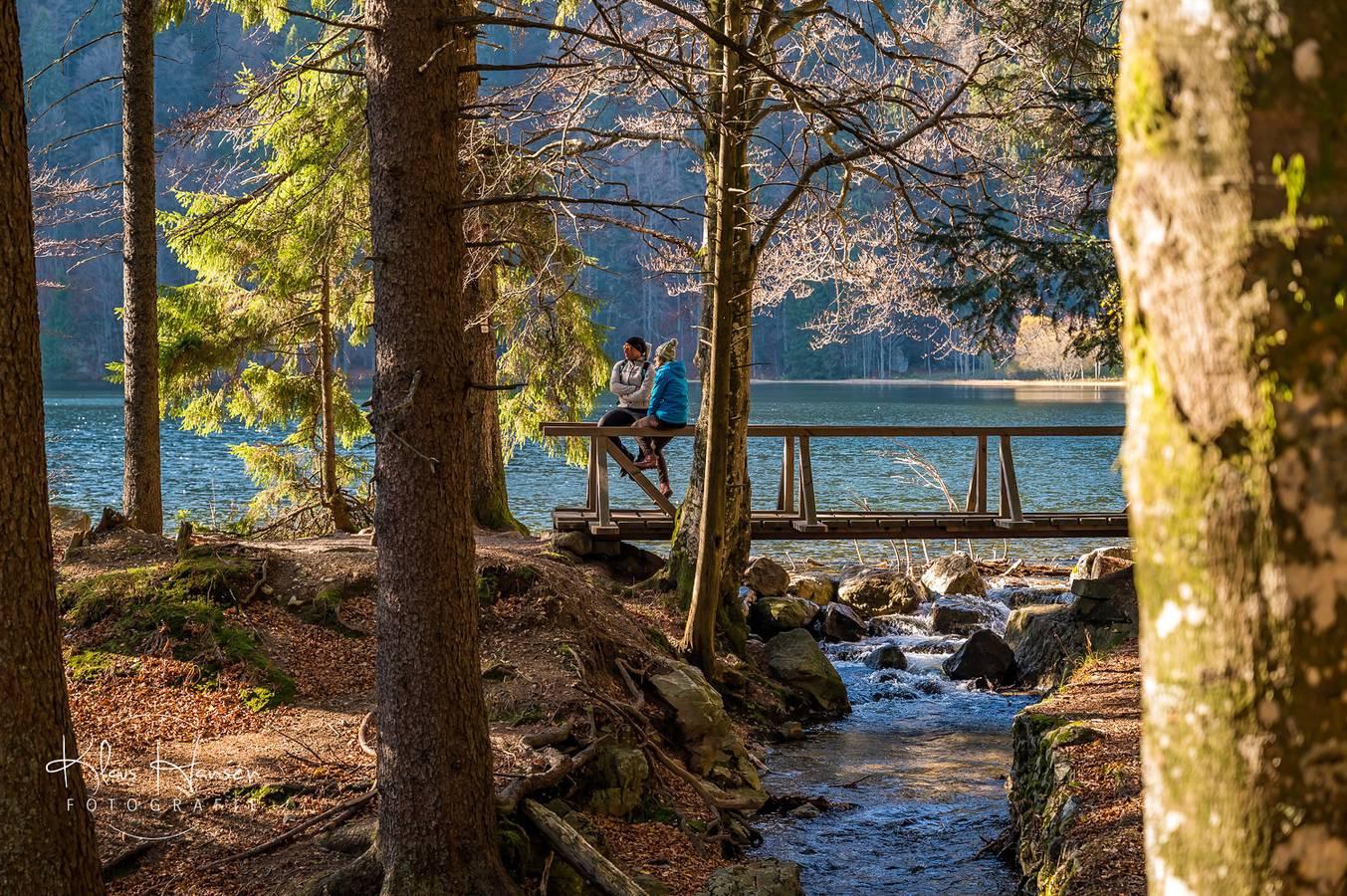 Vakantieappartement met balkon in Schluchsee, Zuidelijk Zwarte Woud, Duitsland voor 4 personen foto 25