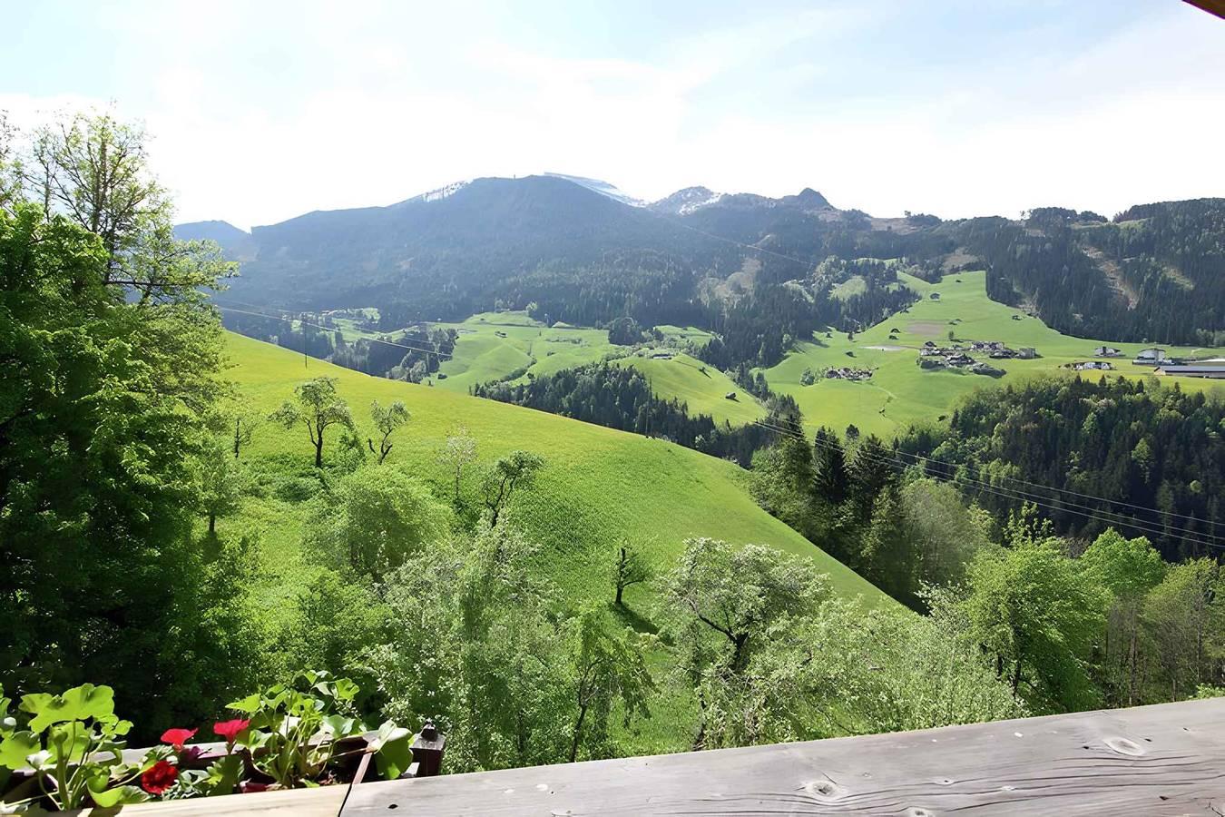 Vakantieappartement in Zillertal, Oostenrijk voor 10 personen foto 6