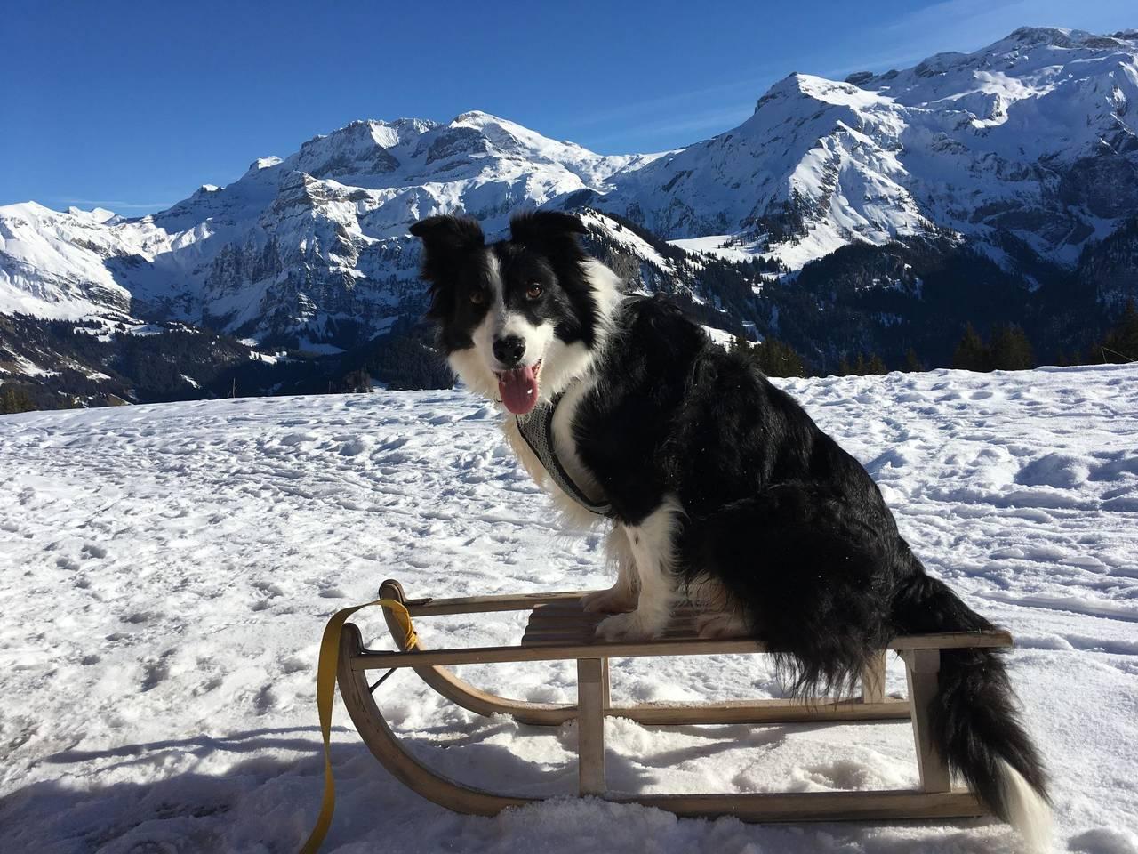 Gwunderstübli in Lenk im Simmental, Lenk, Zwitserland voor 2 personen foto 23