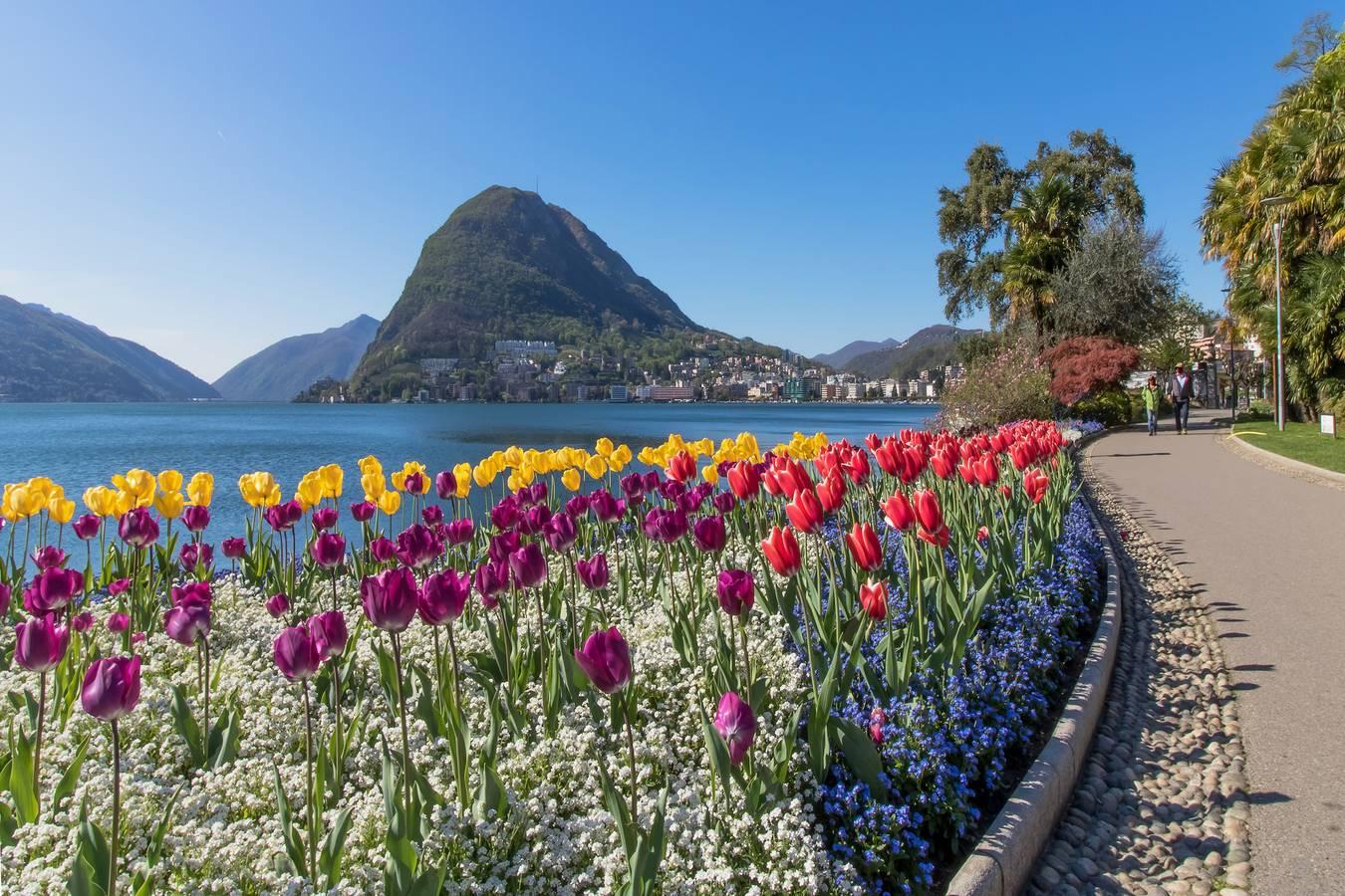Residence Palace for 3 in Lugano, Luganomeer, Zwitserland voor 3 personen foto 23