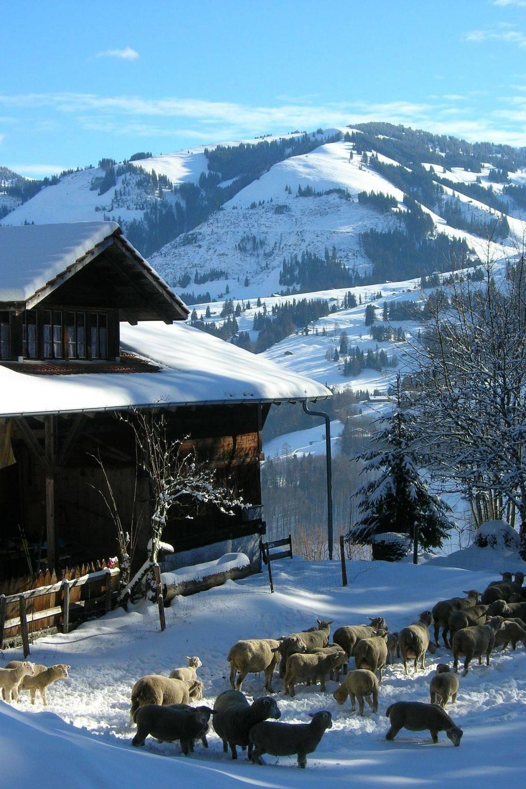 Vakantieappartement in Berner Oberland, Zwitserland voor 5 personen foto 5