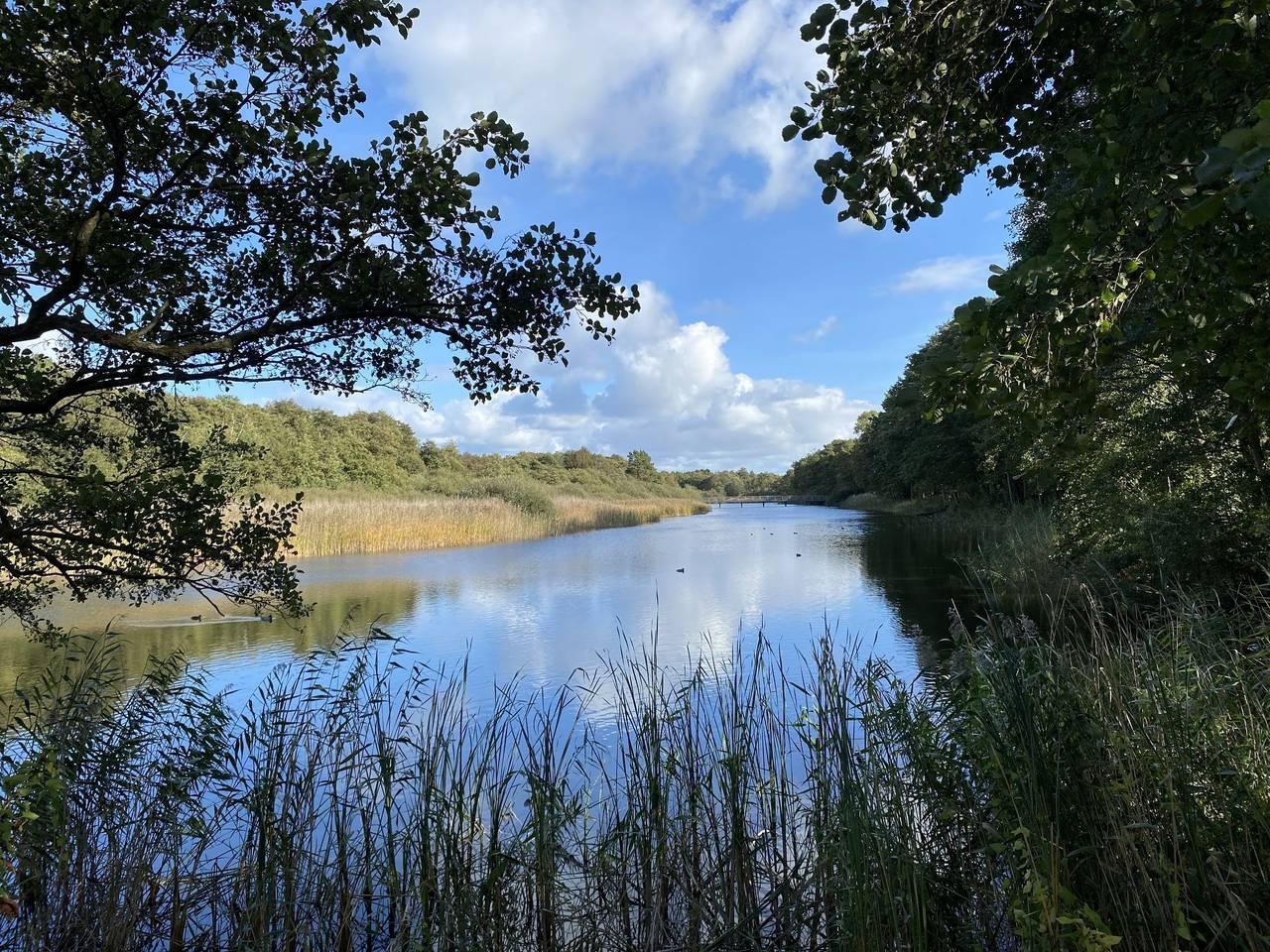 Vakantieappartement in Prerow, Schiereiland Fischland - Darss - Zingst, Duitsland voor 2 personen foto 20