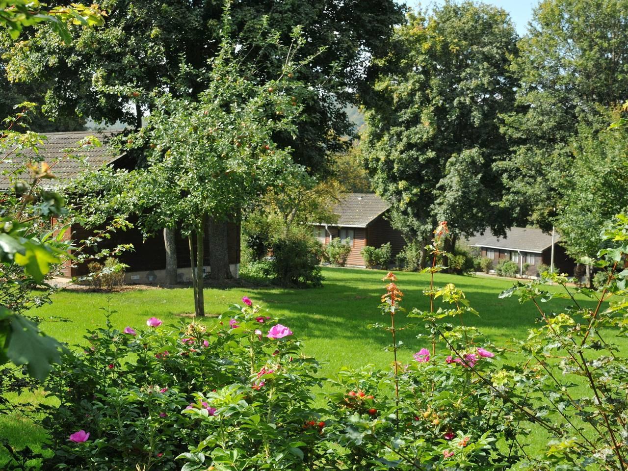 Bungalow in België bij Groene Heuvels in Rendeux, Provincie Luxemburg, België voor 6 personen foto 24