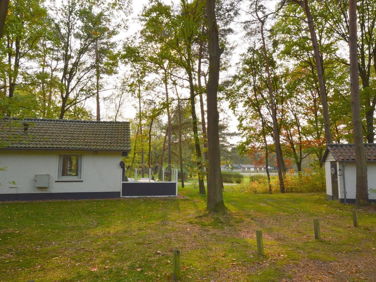 Vakantiehuis met hond toegestaan in Stramproy, Limburg, Nederland voor 3 personen foto 20