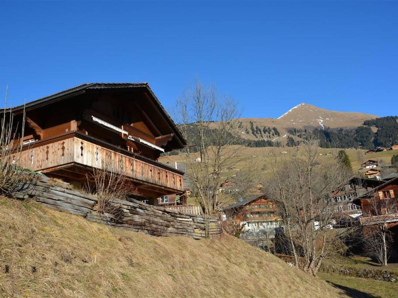 Vakantieappartement in Lauenen, Zwitserland voor 4 personen foto 5