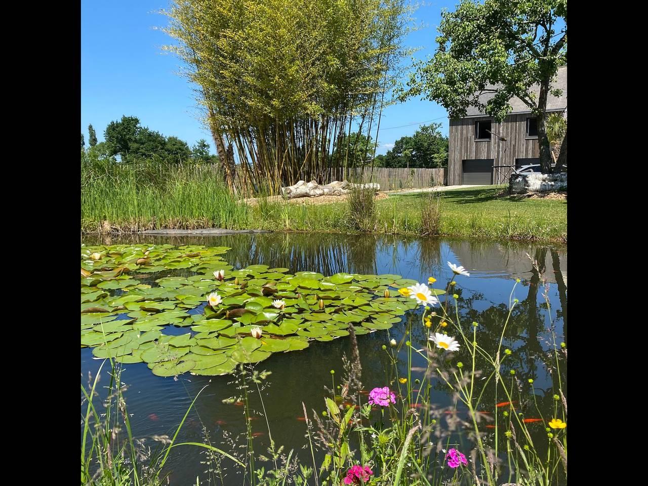 Vakantiehuis met terras in Chasné-sur-Illet, Frankrijk voor 6 personen foto 20