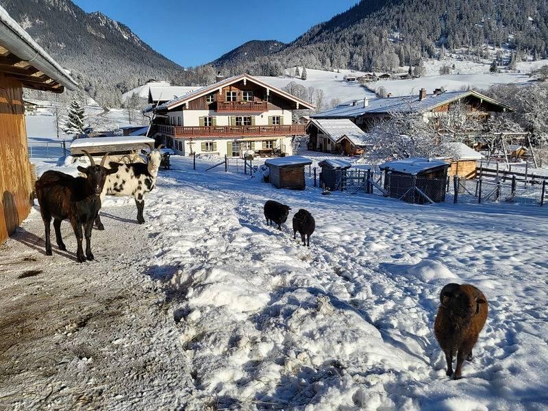 Vakantieappartement in Opper-Beieren, Duitsland voor 4 personen foto 7