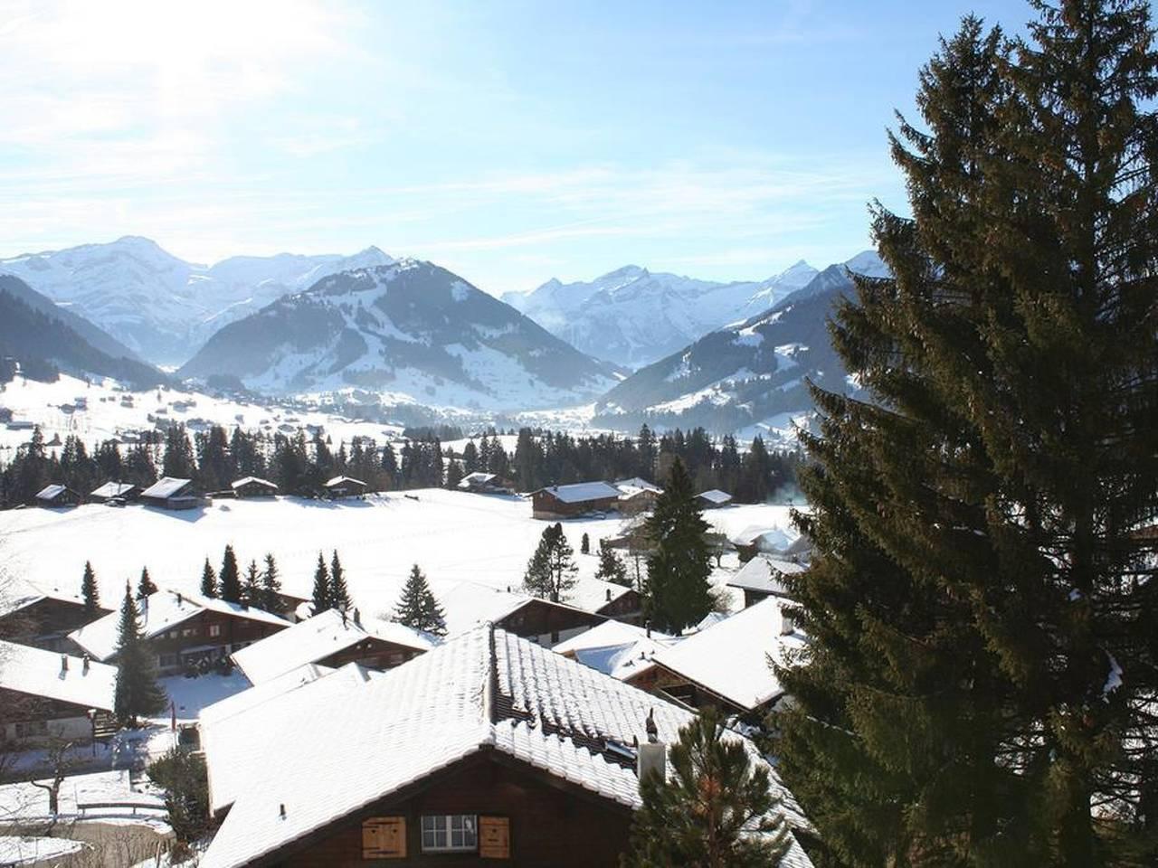 Vakantieappartement in Saanen, Zwitserland voor 8 personen foto 8