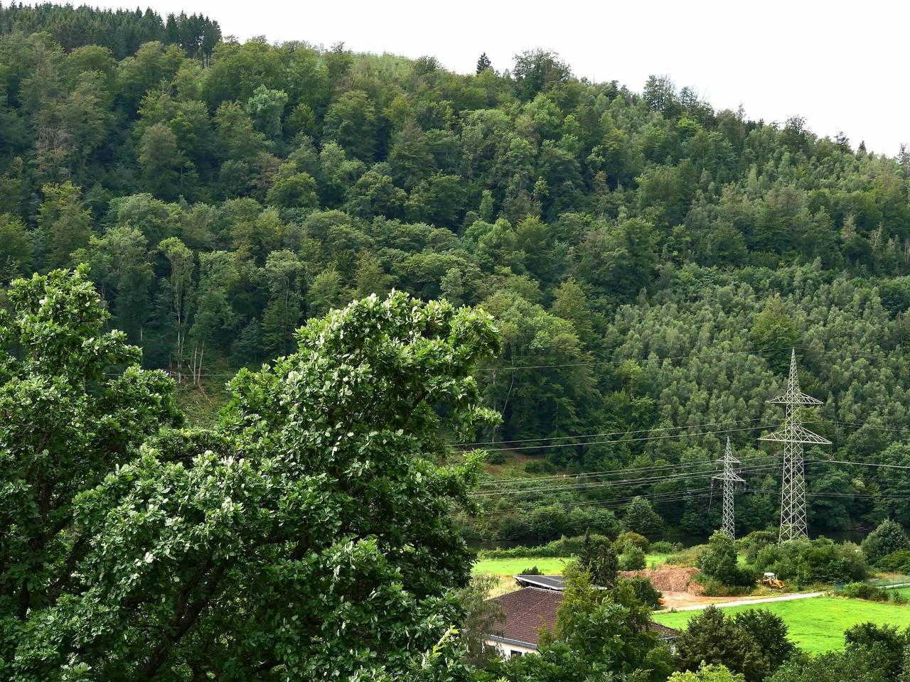 Vakantieappartement in Sauerland, Duitsland voor 3 personen foto 16